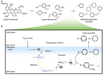 Новый процесс облагораживания биомасла на основе лигнина