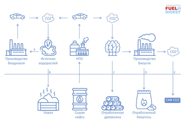 Обычный биодизель, водоросли или биоуголь – сравнение экономической эффективности