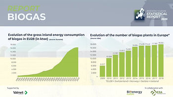 Статистический отчет по биогазу 2020