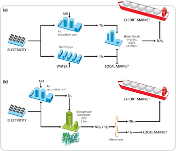 “Зеленый” аммиак из нитрогеназы